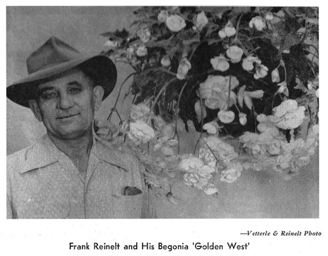B. ‘Golden West’